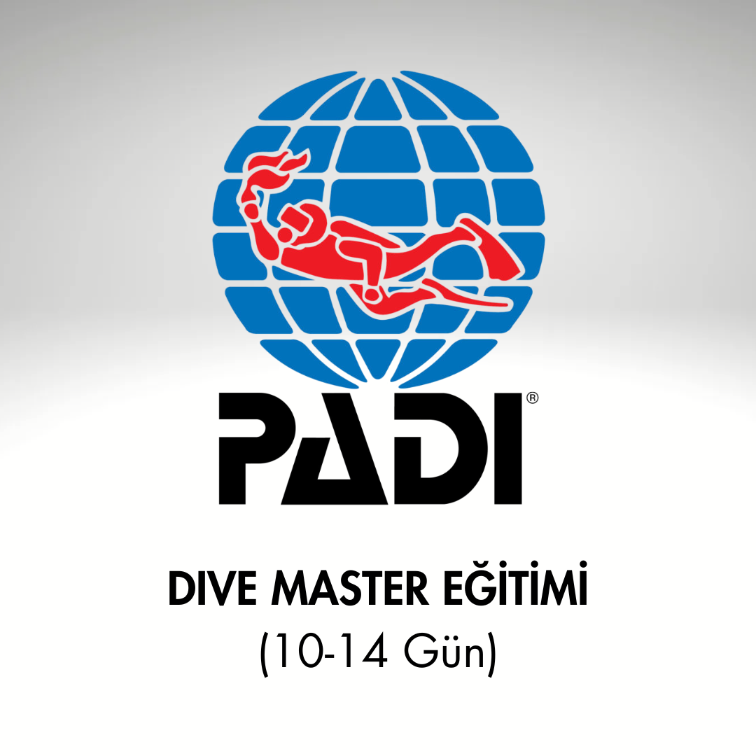 18 PADI Dive Master Eğitimi (10-14 Gün) - Image 1